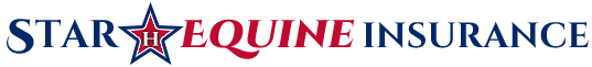 Star H logo